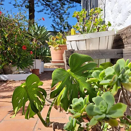 Mijas Costa Del Sol Tatil Evi